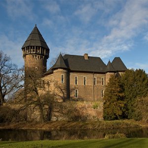Burg_Linn